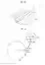 Fig. 21 - Developing apparatus