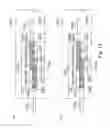 Fig. 12 - Heater and image heating apparatus including the same