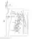 Fig. 02 - Image forming apparatus