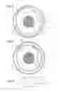 Fig. 03 - Timepiece barrel with improved transmission of force