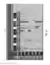 Fig. 22 - Haptic spatialization system