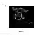Fig. 16 - Method and apparatus for three dimensional viewing of images