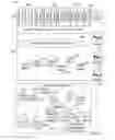 Fig. 02 - Deploying data-path-related plug-ins