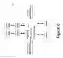 Fig. 07 - Hybrid memory blade