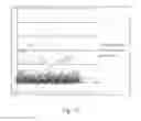 Fig. 10 - Detecting Chromosomal Aneuploidy
