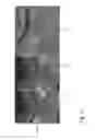 Fig. 12 - Global-scale object detection using satellite imagery