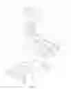 Fig. 02 - Imaging blood cells