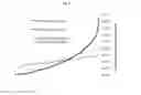 Fig. 06 - TRANSFORMATION WEIGHTED INDEXES OFFERING CONCENTRATED MULTI-RISK FACTOR EXPOSURE