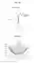 Fig. 18 - Signal processing apparatus, imaging apparatus, signal processing method and program for correcting deviation of blurring in images