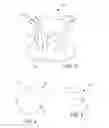 Fig. 04 - Computerized imaging of sporting trophies and uses of the computerized images