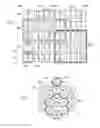 Fig. 05 - Gaming method and apparatus for portioning a play area