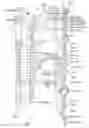 Fig. 01 - MODELING THE AUTONOMOUS NERVOUS SYSTEM AND USES THEREOF