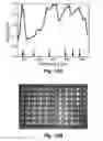 Fig. 10 - Sound attenuating structures
