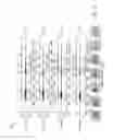 Fig. 04 - Speaker dependent voiced sound pattern template mapping