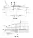 Fig. 03 - Conductive polymers for use in magnetic media