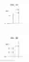 Fig. 06 - Memory devices, memory systems, and related operating methods