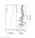 Fig. 09 - METHOD OF FORMING STABLE STATES OF DENSE HIGH-TEMPERATURE PLASMA