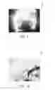 Fig. 07 - Electrically conductive materials formed by electrophoresis