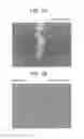 Fig. 08 - METHOD OF MANUFACTURING RARE EARTH MAGNET