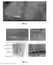 Fig. 04 - DEFECT FREE SINGLE CRYSTAL THIN LAYER