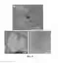 Fig. 06 - DEFECT FREE SINGLE CRYSTAL THIN LAYER