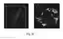 Fig. 07 - THREE-DIMENSIONAL NETWORKS COMPRISING NANOELECTRONICS