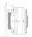 Fig. 43 - Vertical power MOSFET having planar channel and its method of fabrication