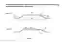Fig. 21 - COMPLIANT SEAL STRUCTURES FOR PROTECTED ACTIVE METAL ANODES
