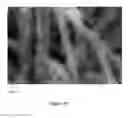 Fig. 10 - Silicon-embedded copper nanostructure network for high energy storage