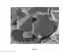 Fig. 17 - Oxide shell formation on inorganic substrate via oxidative polyoxoanion salt deposition