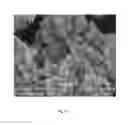 Fig. 18 - Oxide shell formation on inorganic substrate via oxidative polyoxoanion salt deposition