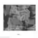 Fig. 22 - Oxide shell formation on inorganic substrate via oxidative polyoxoanion salt deposition