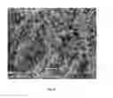 Fig. 23 - Oxide shell formation on inorganic substrate via oxidative polyoxoanion salt deposition