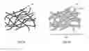 Fig. 02 - LITHIATED TRANSITION METAL OXIDES