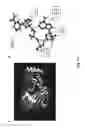 Fig. 12 - Complete oxidation of sugars to electricity by using cell-free synthetic enzymatic pathways