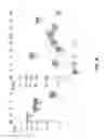 Fig. 17 - Complete oxidation of sugars to electricity by using cell-free synthetic enzymatic pathways