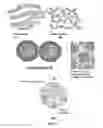 Fig. 07 - Partially and fully surface-enabled alkali metal ion-exchanging energy storage devices