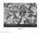 Fig. 08 - Partially and fully surface-enabled alkali metal ion-exchanging energy storage devices