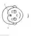Fig. 02 - Stretchable wireless device