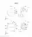 Fig. 09 - Antenna apparatus