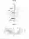 Fig. 09 - Rotating electrical machine including an insulator with a reinforcing portion