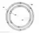 Fig. 01 - Device and method for using a magnetic clutch in BLDC motors