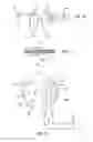 Fig. 06 - Varying capacitance rotating electrical machine