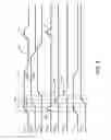 Fig. 05 - Radiation hardened digital circuit