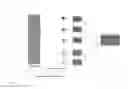 Fig. 04 - Distributed combined junctional transformer