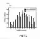 Fig. 09 - Adaptive optics based simultaneous turbulence compensation of multiple orbital angular momentum beams