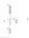 Fig. 09 - Communication apparatus and communication method