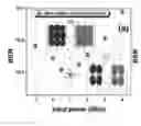 Fig. 01 - Reception of 2-subcarriers coherent orthogonal frequency division multiplexed signals