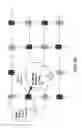 Fig. 19 - Subnetworks and multiple networks