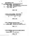 Fig. 14 - Producing routing messages for voice over IP communications